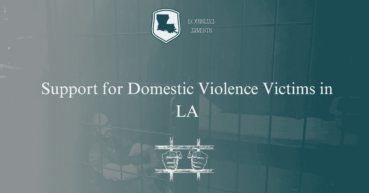 Support for Domestic Violence Victims in LA